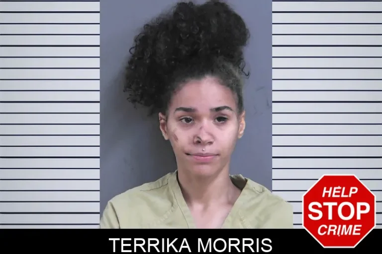 Terrika Morris mugshot – Gordon County , Georgia Terrika Morris