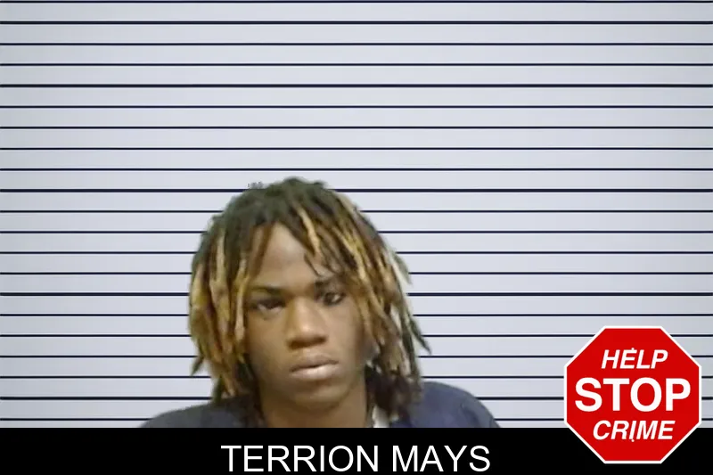 Terrion Mays Mugshots