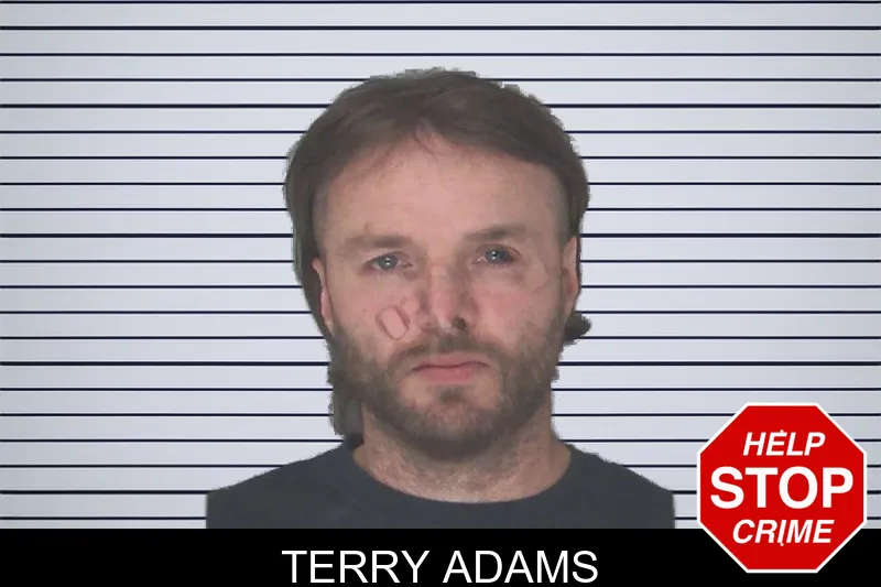 Terry Adams Mugshots