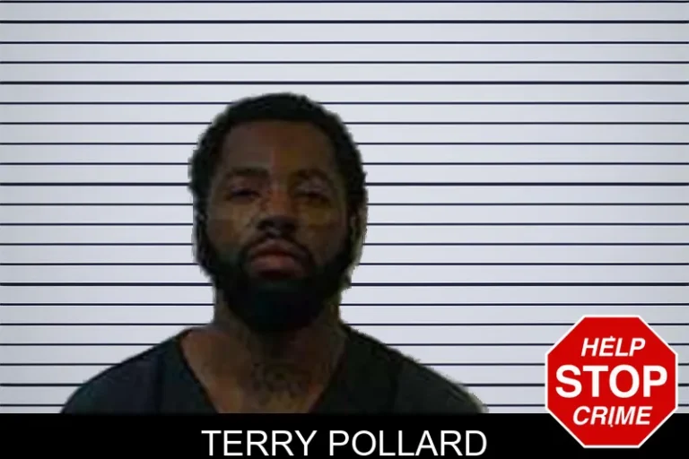 Terry Pollard