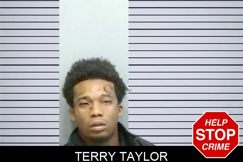 Terry Taylor Mugshots