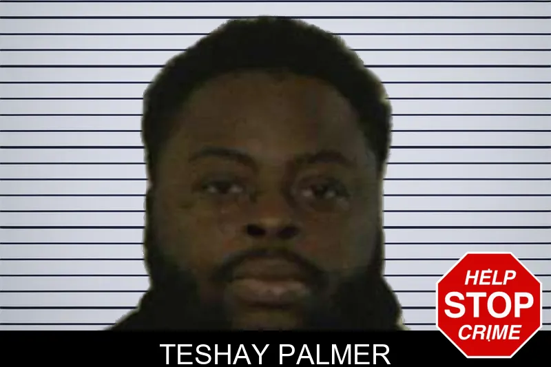 Teshay Palmer mugshot