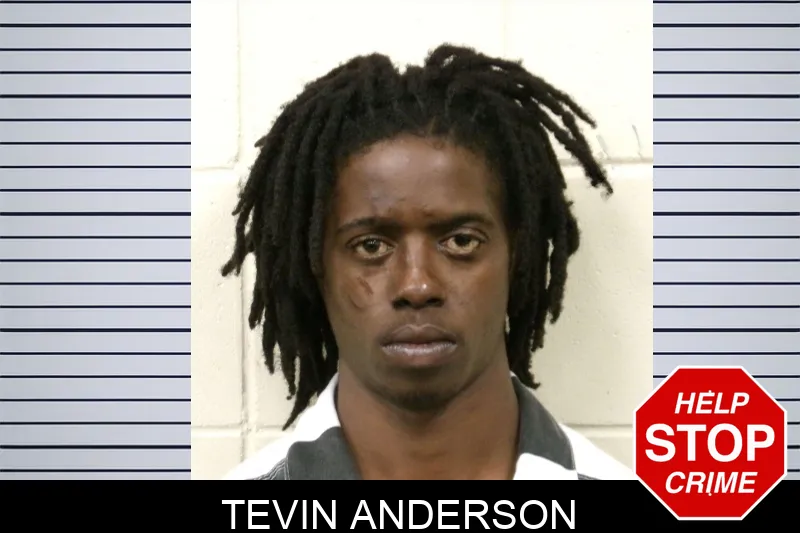 Tevin Anderson mugshot – Bulloch County , Georgia Tevin Anderson mugshot