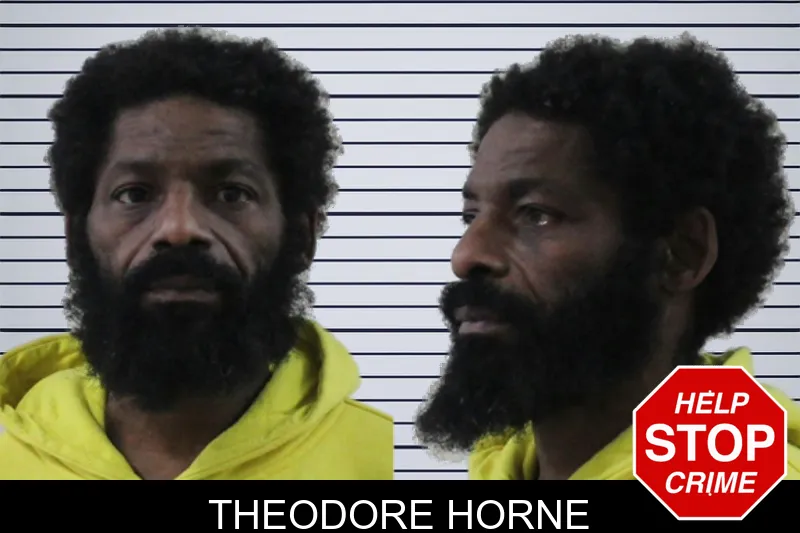 Theodore Horne mugshot – Houston County , Georgia Theodore Horne mugshot