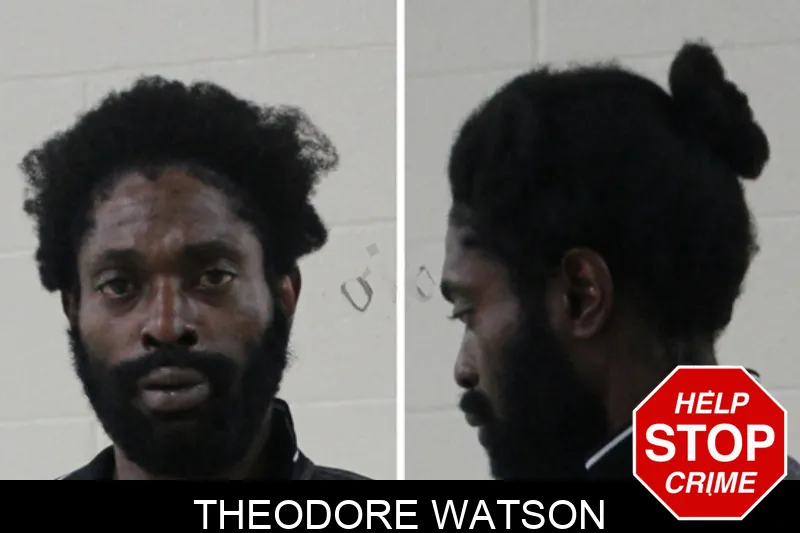 Theodore Watson Mugshots