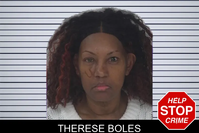 Therese Boles Mugshots