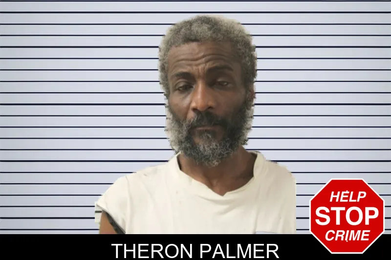 Theron Palmer mugshot