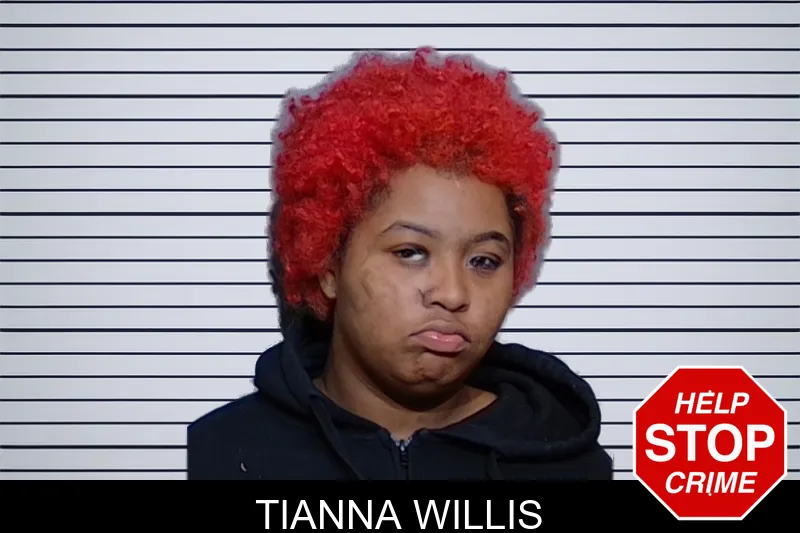 Tianna Willis Mugshots