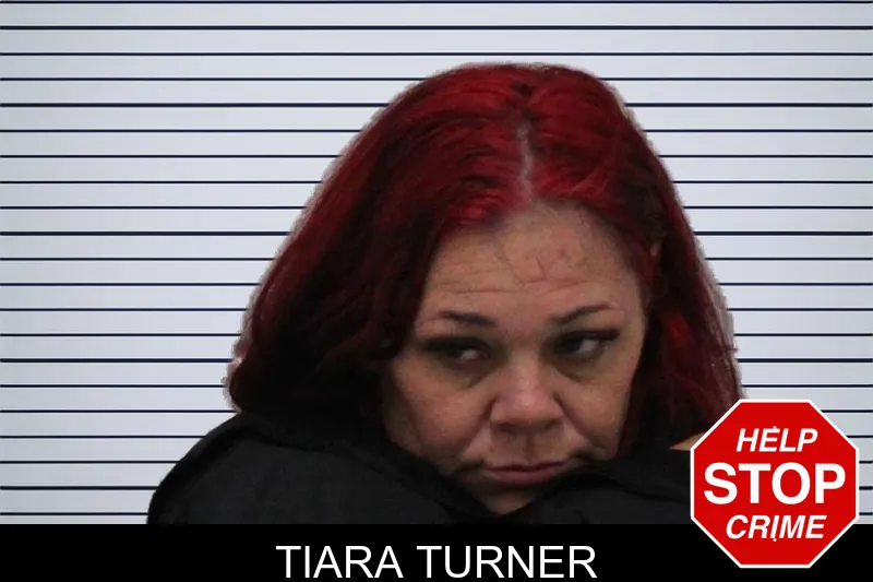 Tiara Turner Mugshots