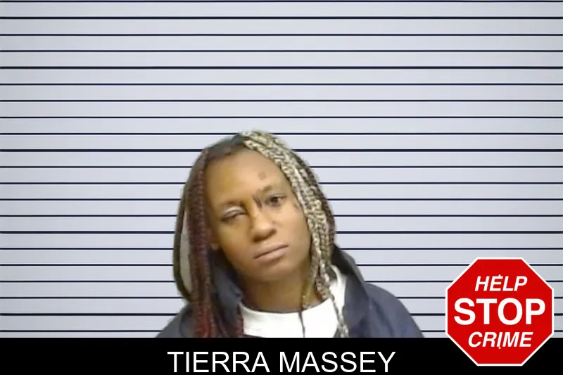 Tierra Massey mugshot – Fulton County , Georgia Tierra Massey mugshot