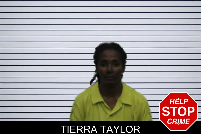 Tierra Taylor Mugshots