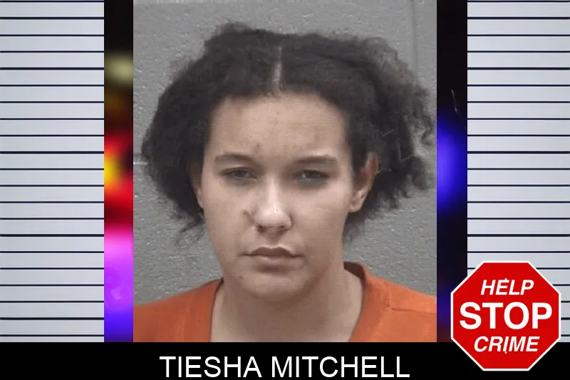 Tiesha Mitchell Mugshots