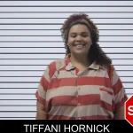 Tiffani Hornick Mugshots