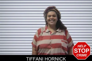 Tiffani Hornick mugshot