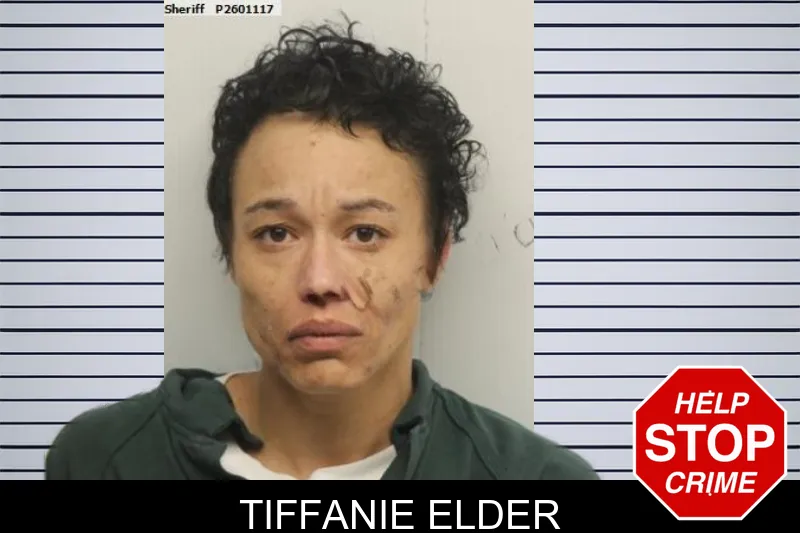 Tiffanie Elder Mugshots