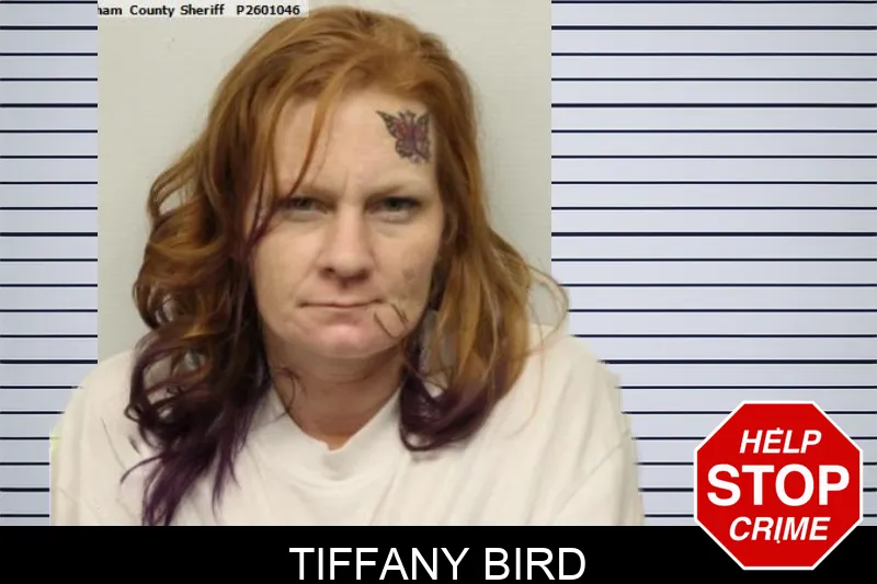 Tiffany Bird mugshot – Chatham County , Georgia Tiffany Bird mugshot
