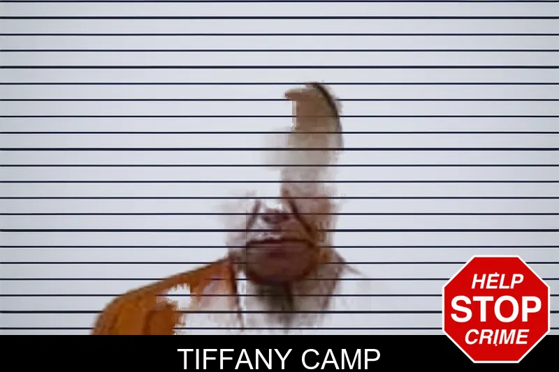 Tiffany Camp Mugshots