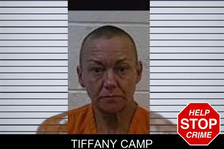 Tiffany Camp