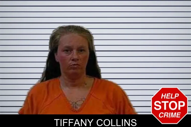 Tiffany Collins mugshot – Polk County , Georgia Tiffany Collins