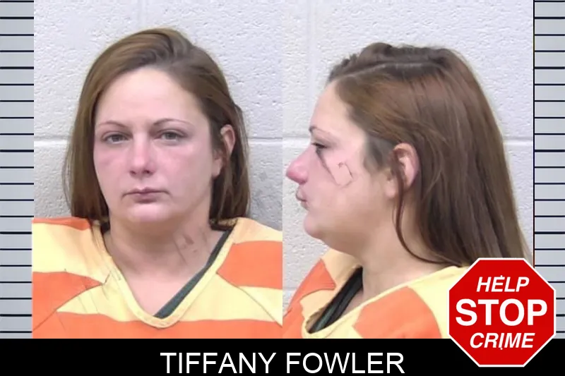 Tiffany Fowler Mugshots