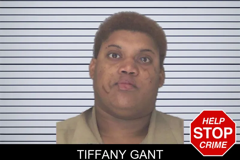 Tiffany Gant Mugshots
