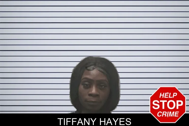 Tiffany Hayes mugshot – Coweta County , Georgia Tiffany Hayes