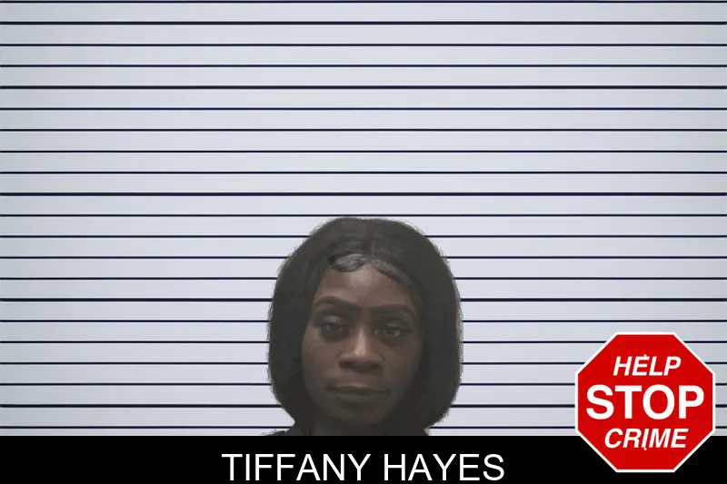 Tiffany Hayes Mugshots