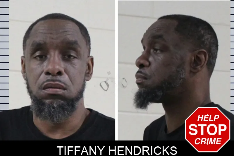 Tiffany Hendricks Mugshots