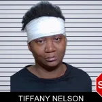 Tiffany Nelson Mugshots
