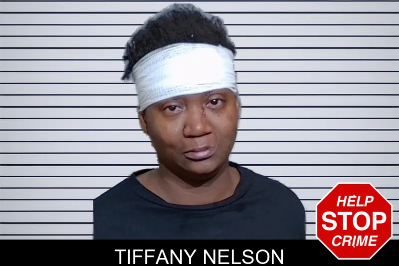 Tiffany Nelson Mugshots