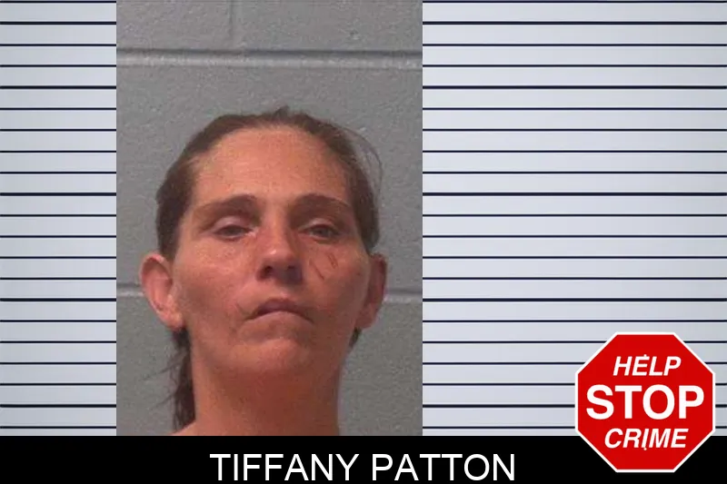 Tiffany Patton Mugshots