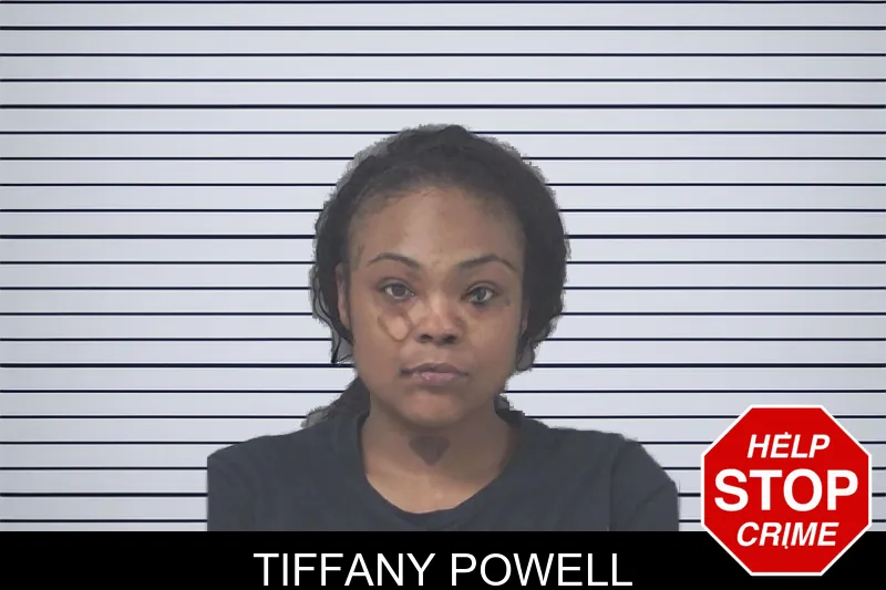 Tiffany Powell mugshot – Douglas County , Georgia Tiffany Powell mugshot