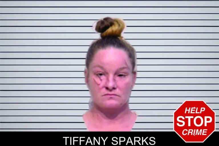 Tiffany Sparks mugshot β Bartow County , Georgia Tiffany Sparks