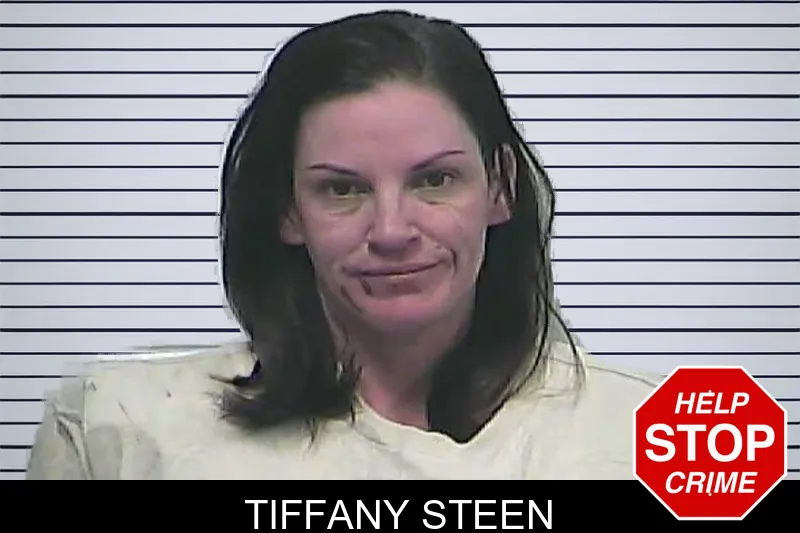 Tiffany Steen Mugshots
