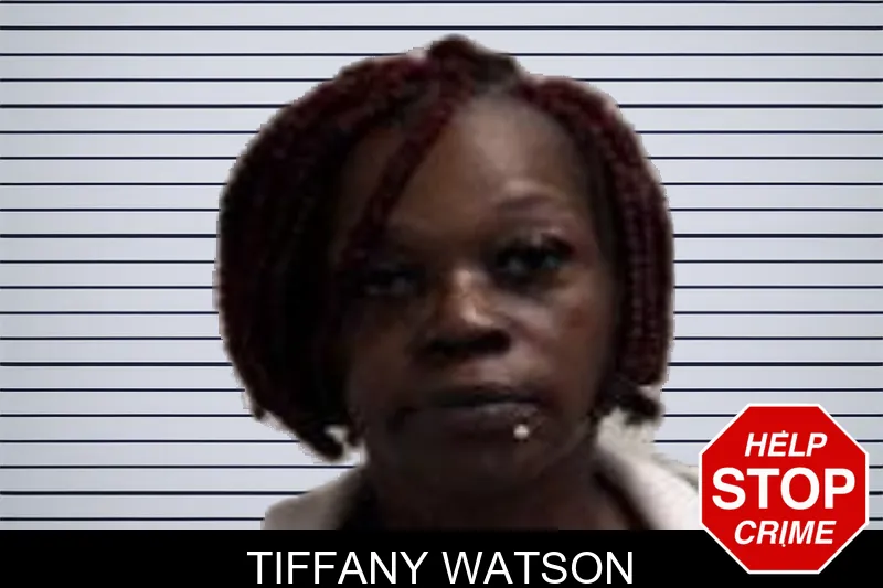Tiffany Watson Mugshots