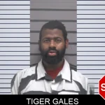 Tiger Gales Mugshots