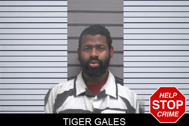 Tiger Gales