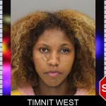Timnit West Mugshots