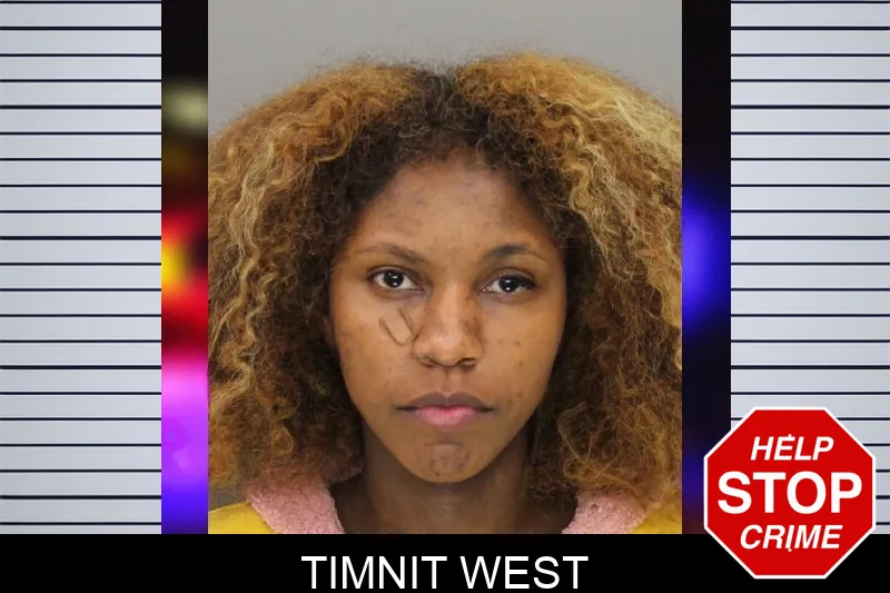Timnit West Mugshots