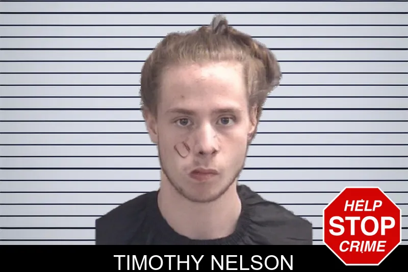 Timothy Nelson Mugshots
