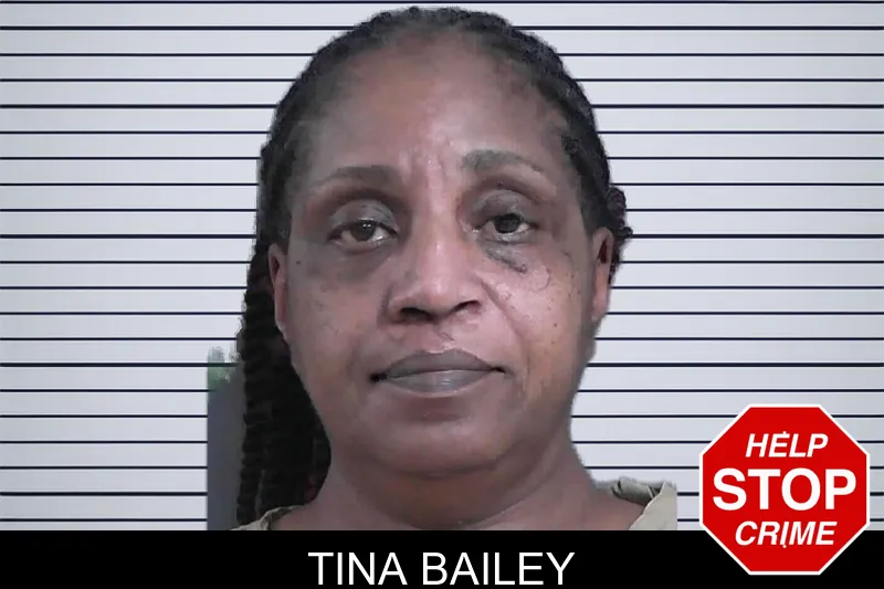 Tina Bailey mugshot