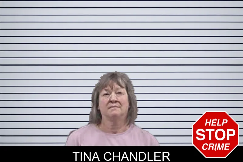 Tina Chandler Mugshots