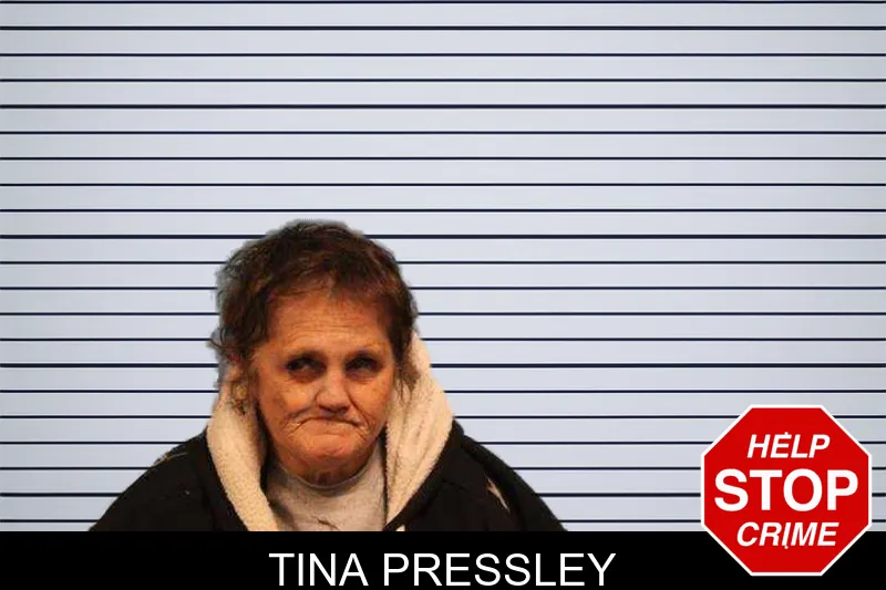 Tina Pressley mugshot – Monroe County , Georgia Tina Pressley mugshot