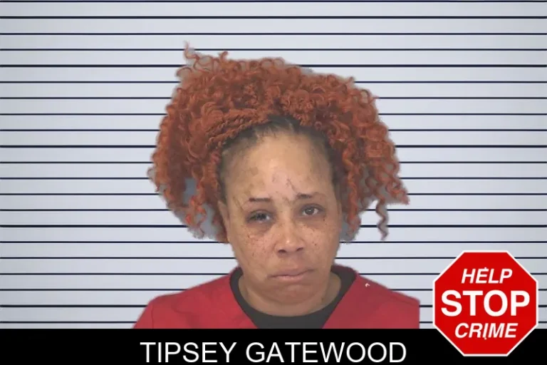 Tipsey Gatewood mugshot – Douglas County , Georgia Tipsey Gatewood