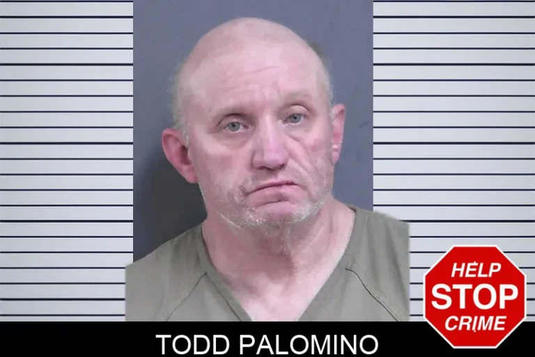 Todd Palomino