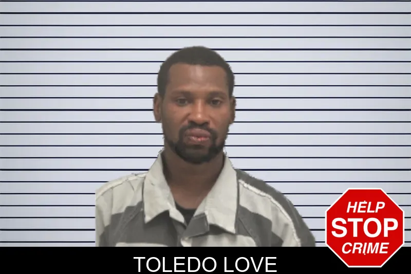 Toledo Love Mugshots