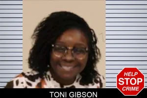 Toni Gibson mugshot