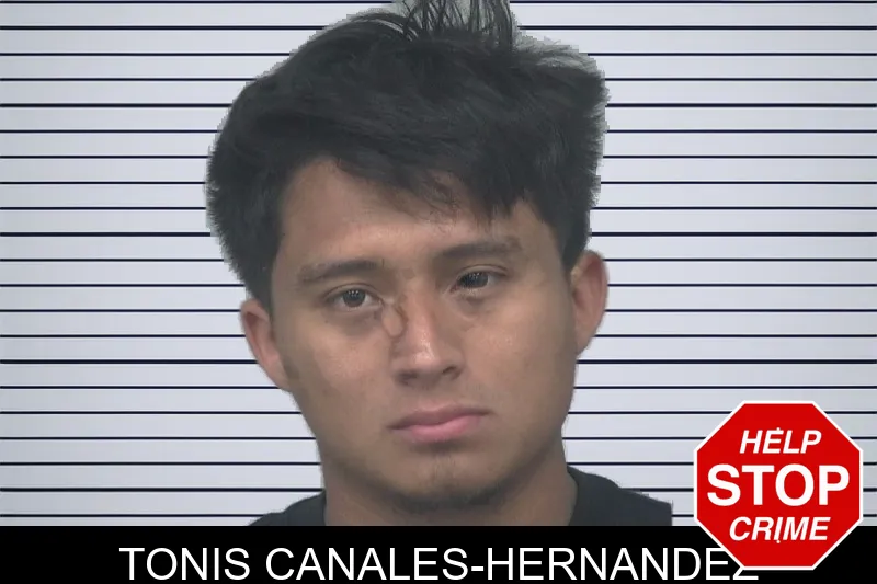 Tonis Canales-Hernandez mugshot – Gwinnett County , Georgia Tonis Canales-Hernandez mugshot