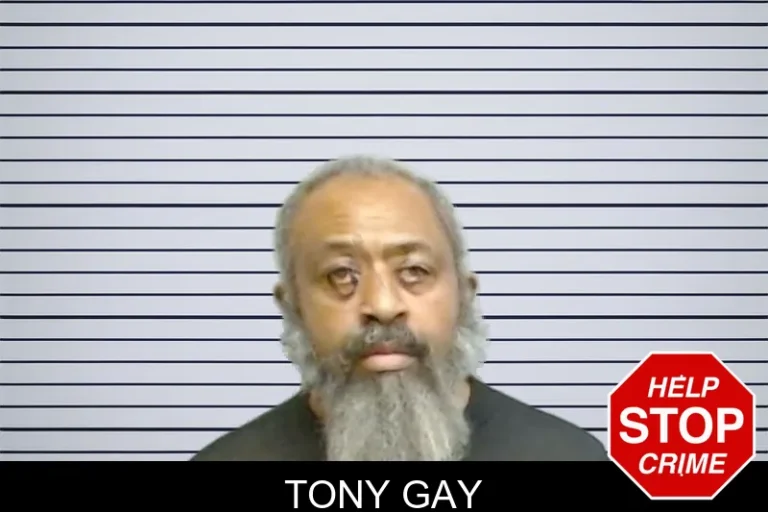 Tony Gay