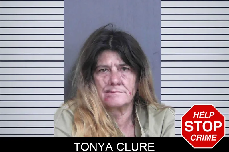 Tonya Clure Mugshots